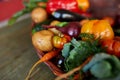 Assortment of fresh vegetables in a basket, bio healthy, organic food Royalty Free Stock Photo