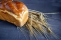 Assortment of freshly baked breads with ears of wheat on black background. Shallow depth of field. Royalty Free Stock Photo