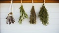 An assortment of freshly picked herbs hanging to dry, a simple and natural way to preserve flavors and reduce waste