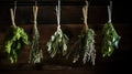 An assortment of freshly picked herbs hanging to dry, a simple and natural way to preserve flavors and reduce waste