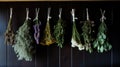 An assortment of freshly picked herbs hanging to dry, a simple and natural way to preserve flavors and reduce waste
