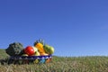 Assortment of Fruit and Vegetables in Mexican clay bowl Royalty Free Stock Photo