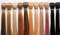 assortment of hair for hair extension procedure.