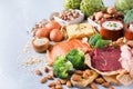 Assortment of healthy protein source and body building food