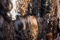 Assortment of human hair extensions