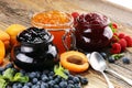 Assortment of jams, seasonal berries, apricot, mint and fruits. Royalty Free Stock Photo