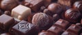 An assortment of luxurious chocolates with various fillings and toppings, featuring dark, milk, and white varieties Royalty Free Stock Photo