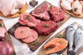 Assortment of meat and seafood Royalty Free Stock Photo