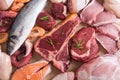 Assortment of meat and seafood Royalty Free Stock Photo