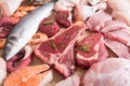 Assortment of meat and seafood Royalty Free Stock Photo