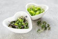 Assortment of micro greens at concrete background,  top view. Royalty Free Stock Photo