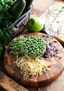 Assortment of micro greens. Growing kale, alfalfa, sunflower, ar