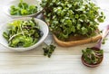 Assortment of micro greens