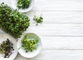 Assortment of micro greens