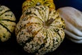 An assortment of miniature squash and pumpkins,including a speckled carnival squash Royalty Free Stock Photo