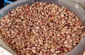 Assortment of multicolored beans, colorful haricot beans background, top view. Various dried legume beans for background. Wallpape