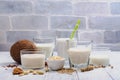 Assortment of non dairy vegan milk and ingredients