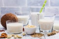 Assortment of non dairy vegan milk and ingredients