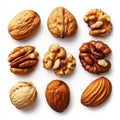 Assortment of Nuts Almonds, Walnuts, and Pecans on White Background Royalty Free Stock Photo