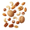 Assortment of Nuts on Black Background Royalty Free Stock Photo