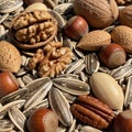 Dulcis), hazelnuts (Corylus avellana), pecans (Carya illinoinensis), and Royalty Free Stock Photo