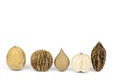 Assortment of nuts in shells background