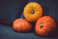 Assortment of orange pumpkins on dark background. Fall symbol, Thanksgiving Day concept. Still life, rustic style