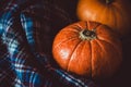 Assortment of orange pumpkins on dark background. Fall symbol, Thanksgiving Day concept. Still life, rustic style