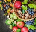 Assortment organic fruits berries apple grape damascene walnut rowanberry dark wooden country background health care Royalty Free Stock Photo