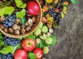 Assortment organic fruits berries apple grape damascene walnut rowanberry dark wooden country background health care Royalty Free Stock Photo