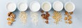 Assortment of organic vegan non diary milk Royalty Free Stock Photo