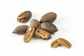 Assortment of peeled and shelled Pecan nuts on white background