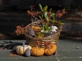 Basket Filled with a Colorful Autumn Harvest Royalty Free Stock Photo