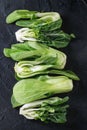 Assortment of raw bok choy Royalty Free Stock Photo