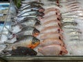 Assortment of raw fish on frozen ice at supermarket Royalty Free Stock Photo