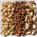 Roasted and Salted Macadamia Nuts & Almonds and Fresh Brazil Nuts