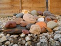 Assortment of rocks and pebbles carefully arranged in a rock garden Royalty Free Stock Photo