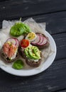 Assortment of sandwiches - sandwiches with cheese, radish, cucumber, quail egg, avocado and smoked salmon. Royalty Free Stock Photo