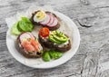 Assortment of sandwiches - sandwiches with cheese, radish, cucumber, quail egg, avocado and smoked salmon. Royalty Free Stock Photo