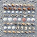 Sand is speckled with small pebbles enhancing the organized display of Royalty Free Stock Photo