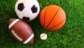 Assortment of sport balls on grass Royalty Free Stock Photo