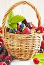 Assortment of summer berries in the basket. Royalty Free Stock Photo