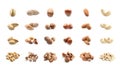 Assortment of tasty nuts on white background Royalty Free Stock Photo