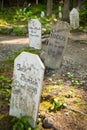 Gold Rush Cemetery