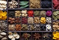 Assortment of traditional Chinese herbal medicines with blank copy space, traditional medicine, herbal medicine,