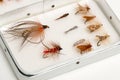 Assortment of Trout Flies or Fishhooks in Aluminum Case