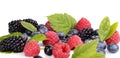 Assortment of various berries isolated white Royalty Free Stock Photo