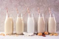 Assortment of vegan, plant based, non dairy milks in bottles with ingredients