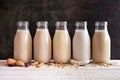 Assortment of vegan, plant based, non dairy milks in bottles