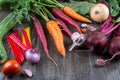 Assortment of vegetables from the garden. Carrot, beet, chard, zucchini, onion, garlic, tomato.